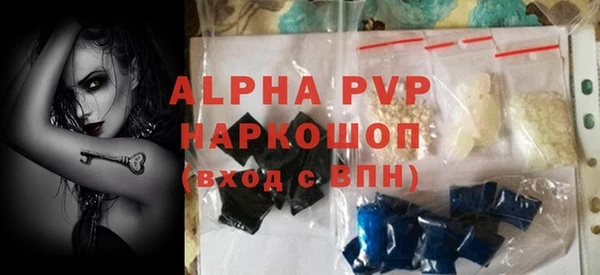 прущие грибы Бабаево