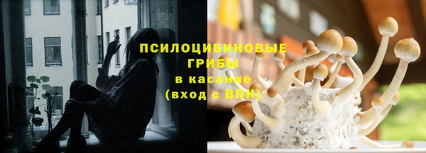 метадон Абаза
