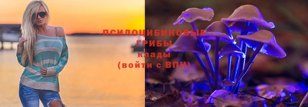 спиды Алзамай