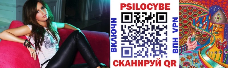 ссылка на мегу вход  Тарко-Сале  Псилоцибиновые грибы Cubensis  купить наркоту 